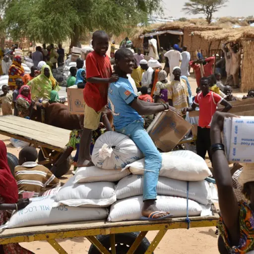 Al menos 20 muertos en estampida durante distribución de alimentos en Níger
