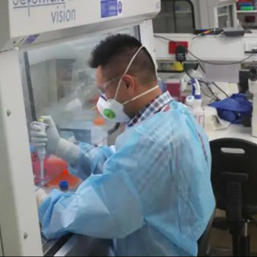 Científicos crean mapa a escala atómica del coronavirus, clave para una vacuna