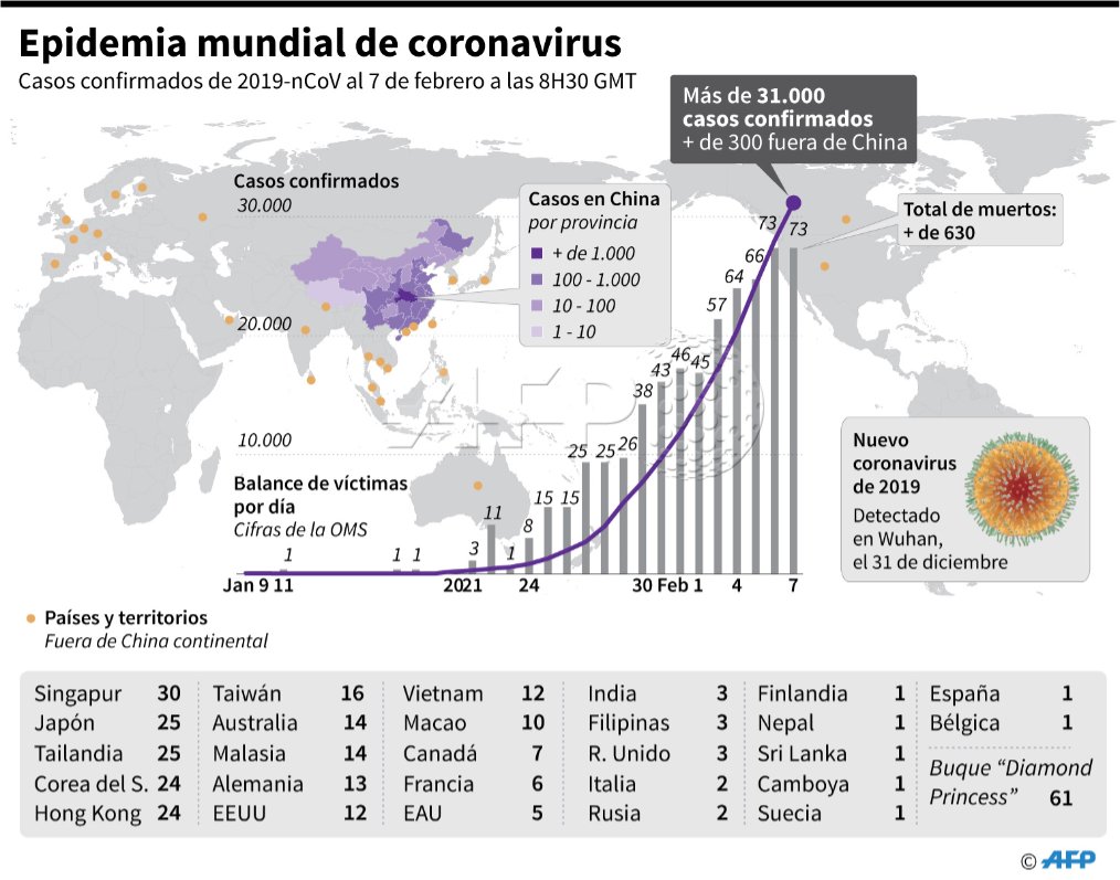 Científicos identifican al pangolín como eslabón clave en la transmisión del coronavirus-005 | 