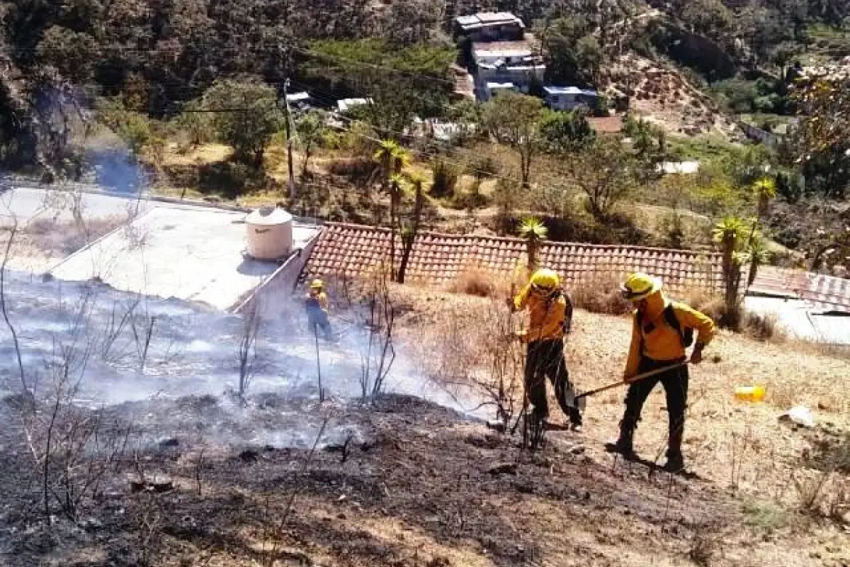 Incendios forestales