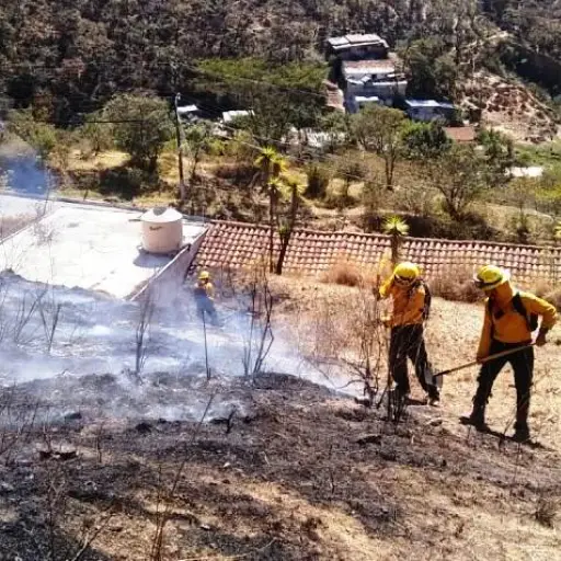 Incendios forestales