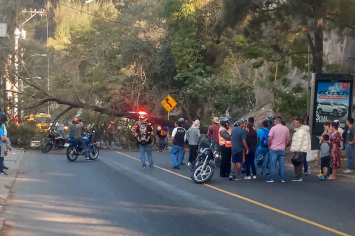 árbol caído villalobos Emisoras Unidas Guatemala, 