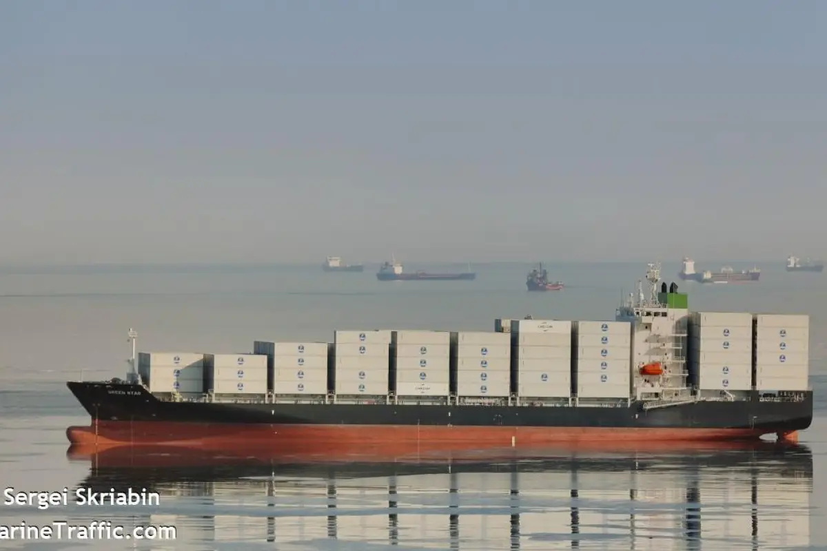 WhatsApp Image 2020-02-02 at 10.52.18, 