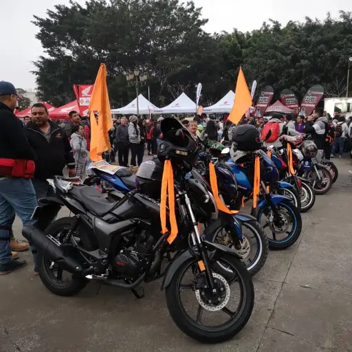 Caravana del Zorro 2020.