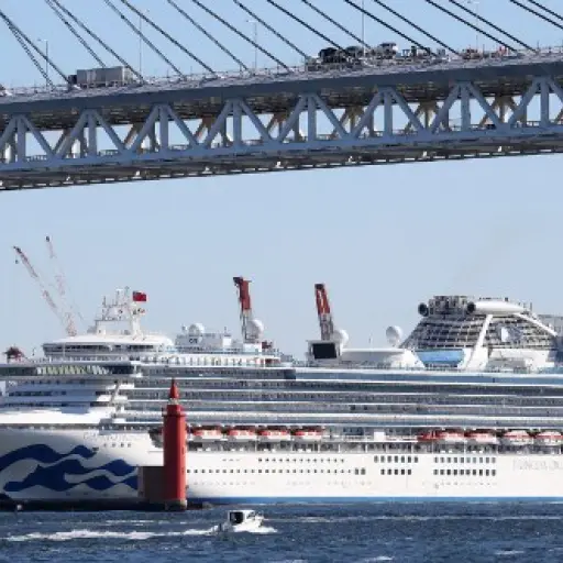 JAPAN-CHINA-HEALTH-VIRUS ,