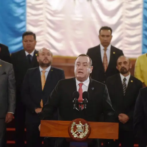 giammattei ley ong´s ,