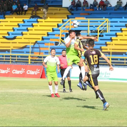 Primera-División-Suspendida-Coronavirus ,