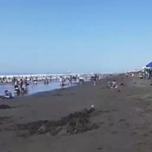 playas coronavirus ,