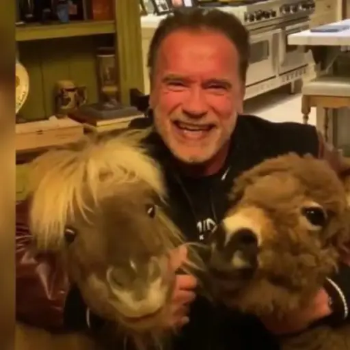 Arnold Schwarzenegger