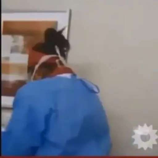 coronavirus-argentina ,