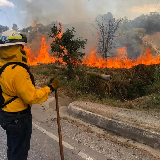 Incendios forestales a nivel nacional
