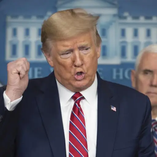 Donald Trump exhorta a GM y Ford a fabricar respiradores 