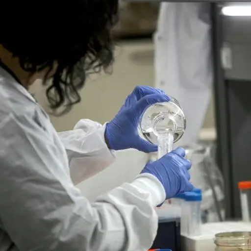 Se buscan ratones de laboratorio en la lucha contra el coronavirus