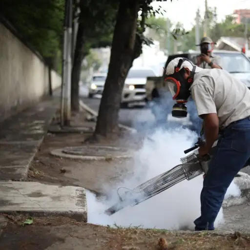Municipalidad limpia y desinfecta principales calles de la Capital
