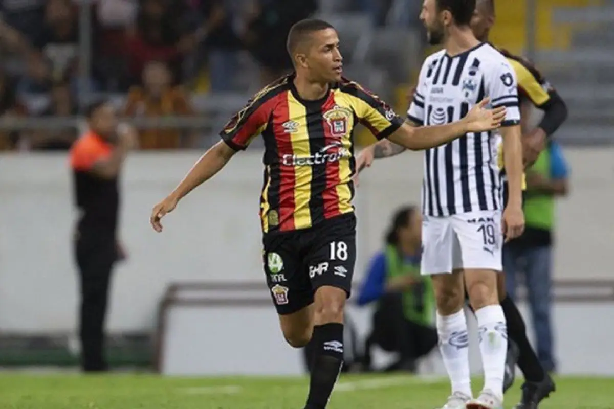 Foto: Leones Negros