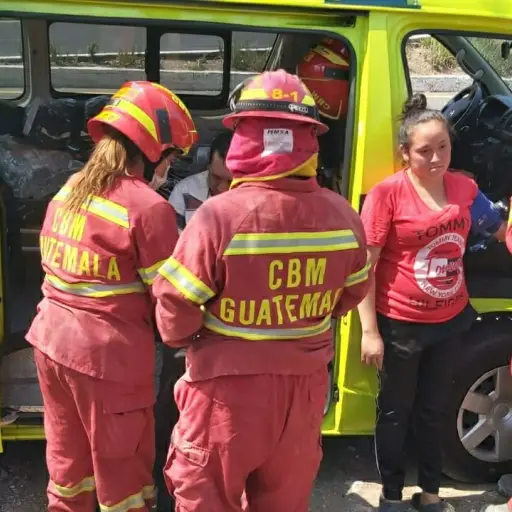 Personas que fueron atacadas por abejas caen a un barranco