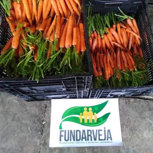 Exportadores donan vegetales a servidores públicos y población vulnerable