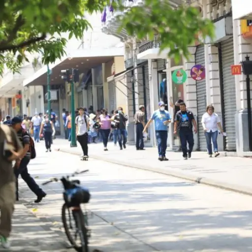 economía-informal ,