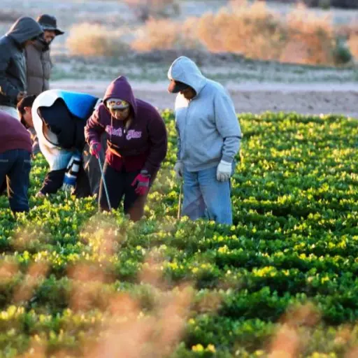 latinos-eeuu-coronavirus ,