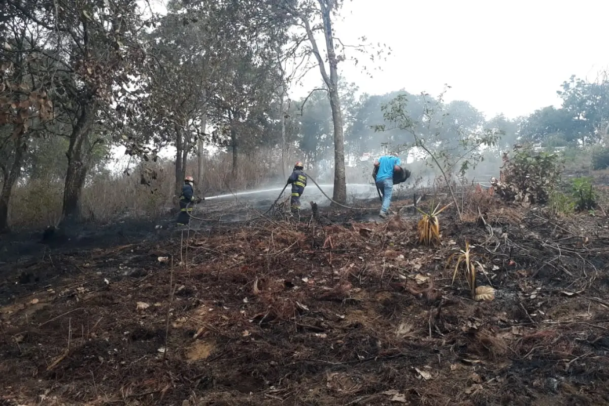 Habrá apoyo internacional para controlar incendios forestales