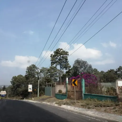 Bárbara Hernández ,