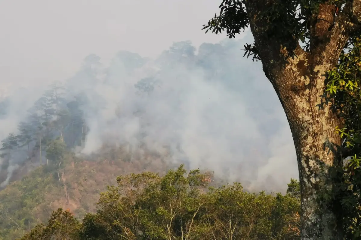 incendio forestal, 