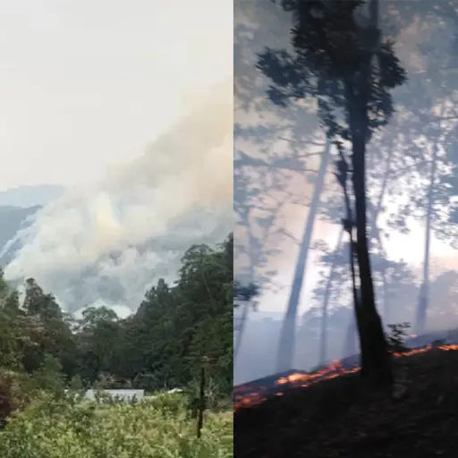 incendio Corredor Biológico del Bosque Nuboso Purulhá Emisoras Unidas Guatemala ,