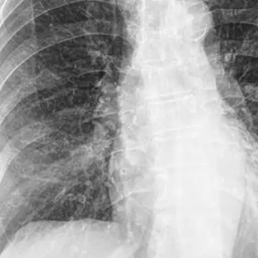 Académicos guatemaltecos crean plataforma para analizar casos de coronavirus