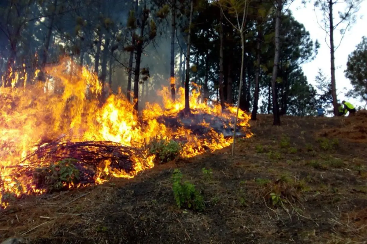 incendios-forestales-conred, 