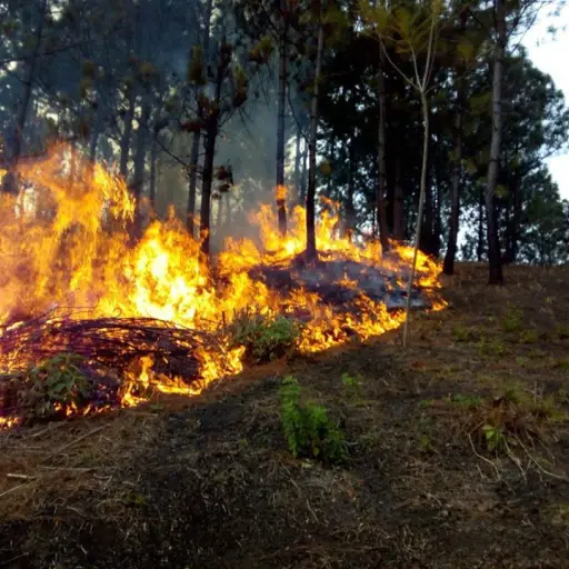 incendios-forestales-conred ,