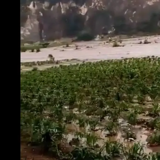 Inundación súbita tras lluvia provoca daños en cultivos