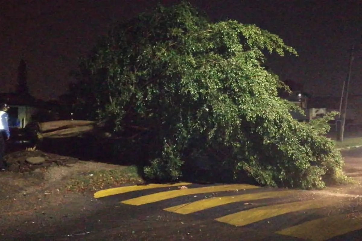 Lluvia y vientos provocaron destrozos en Villa Nueva y San Miguel Petapa