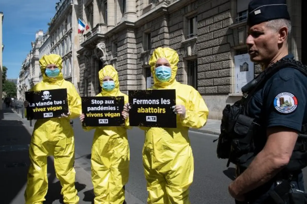 A French policeman stands next to activists of non-profit organization 'People for the Ethical Treatment of Animals' (PETA) wearing hazmat suits and protective face masks as they rally in front of the Ministry of Agriculture in Paris, on Mai 18, 2020, as 