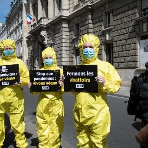 A French policeman stands next to activists of non-profit organization 'People for the Ethical Treatment of Animals' (PETA) wearing hazmat suits and protective face masks as they rally in front of the Ministry of Agriculture in Paris, on Mai 18, 2020, as 