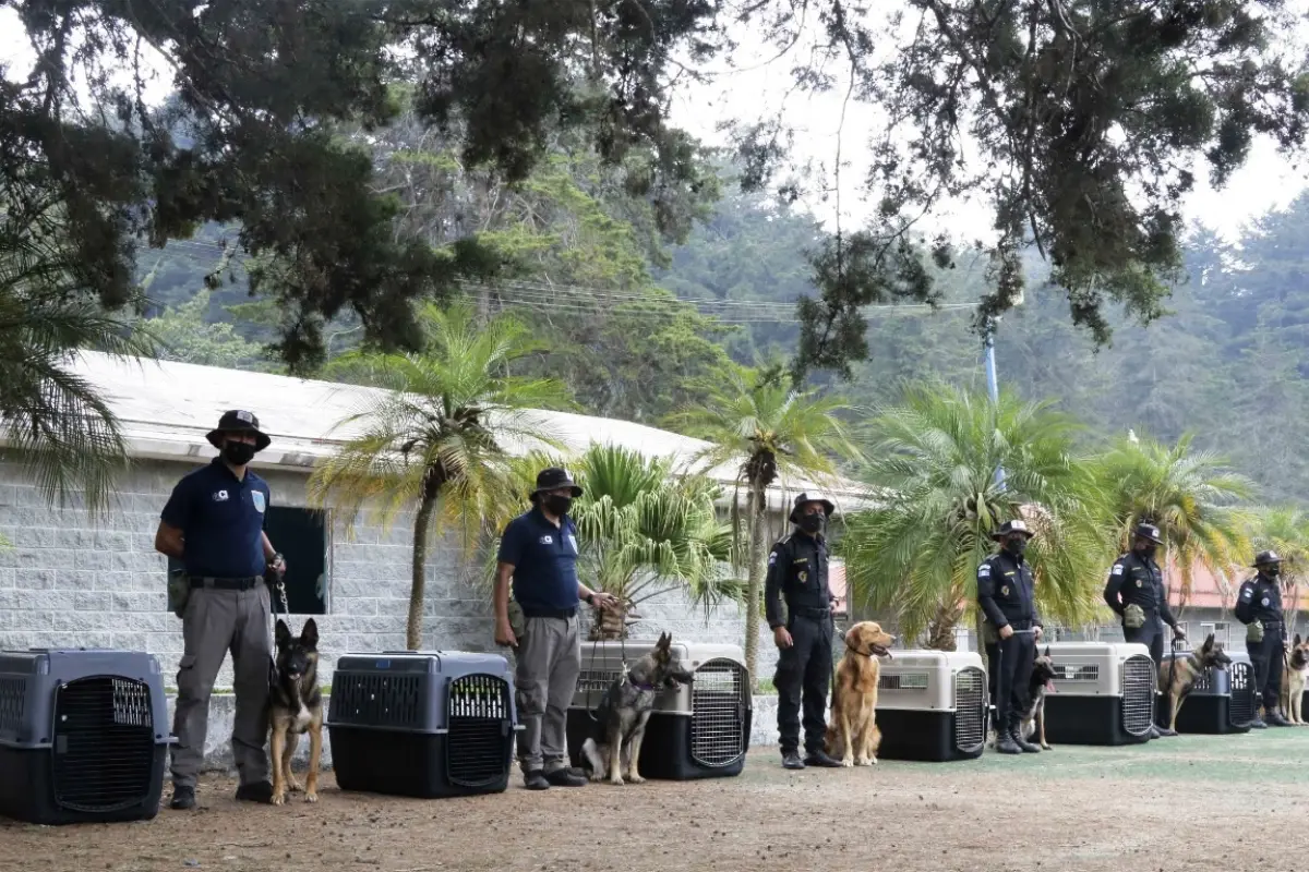 unidad-canina-sbs, 