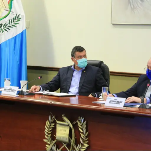 vicepresidente.guillermo-castillo ,