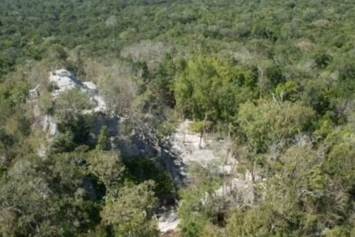 Incendio forestal se registra cerca del parque arqueológico ‘El Mirador’, Petén