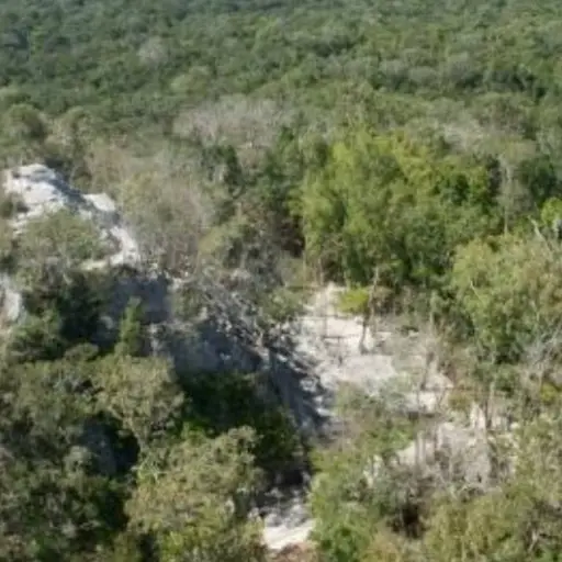 Incendio forestal se registra cerca del parque arqueológico El Mirador, Petén