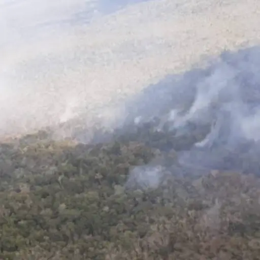 incendio forestal cerca del parque arqueológico El Mirador, Petén