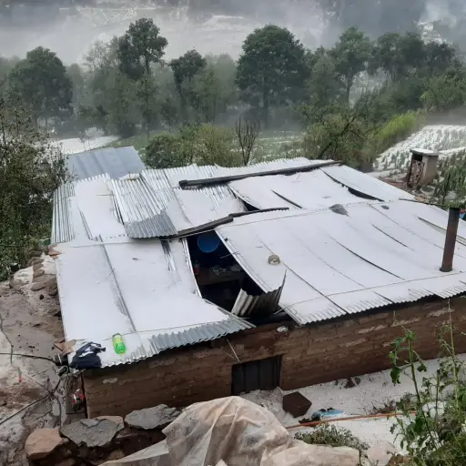 Daños por temperaturas frías en el occidente y noroccidente.