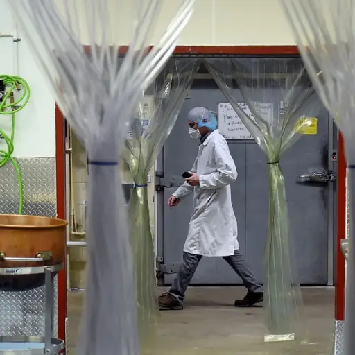 Muertes en EEUU por coronavirus en 24 horas aumentan a más de 2 mil 300