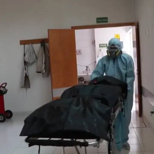 El video que ayuda a comprender la crisis sanitaria del coronavirus en México ,