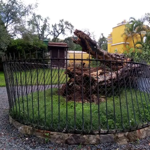 Foto: Wilson De León/Facebook.