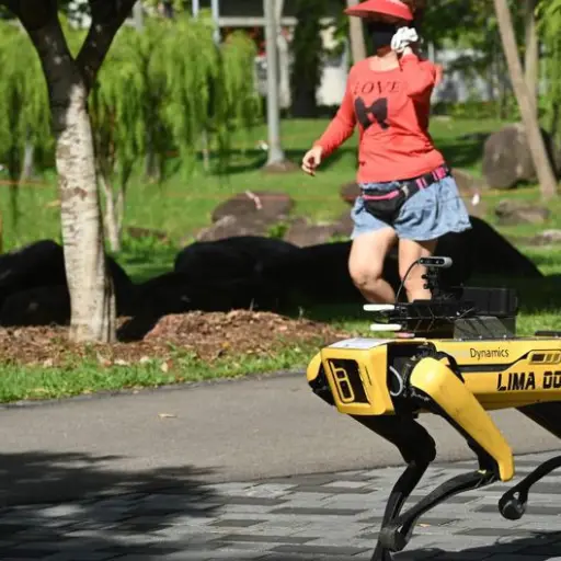 perro robot singapur Emisoras Unidas Guatemala ,
