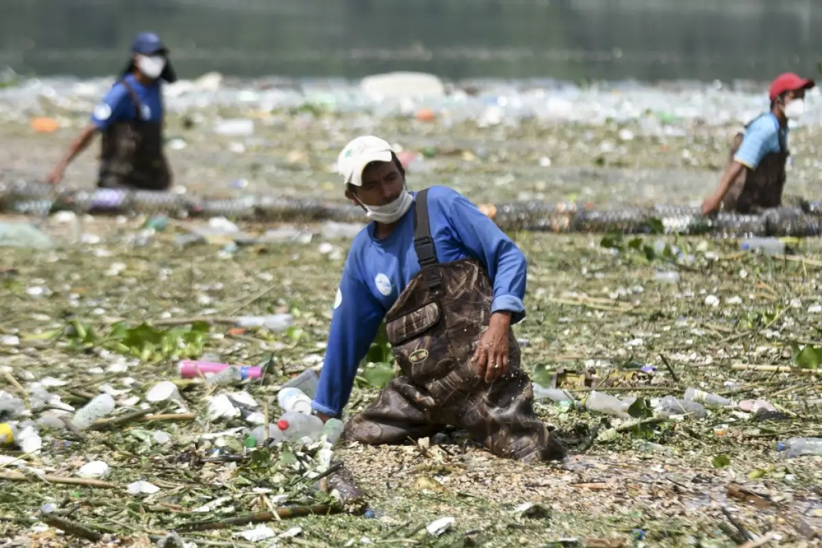 Workers of the Lake Amatitlan Authority (AMSA) collect garbage washed away by rains and held by a floating barrier installed in one of the tributaries of the Lake in Amatitlan, 30 kms south of Guatemala City, on May 29, 2020 amid the Covid-19 coronavirus 