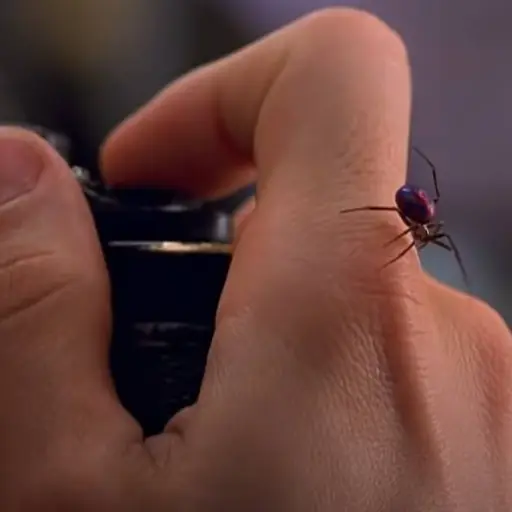 Foto tomada de redes sociales.