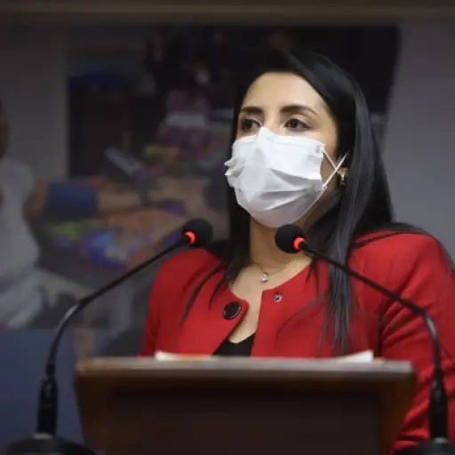 Julia Barrera-vocera de Salud ,