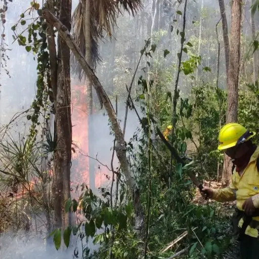 Foto ilustrativa de archivo.