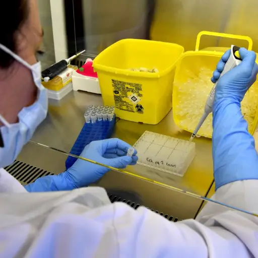 Foto ilustrativa de archivo