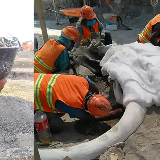 Mamut Ciudad de México Emisoras Unidas Guatemala ,